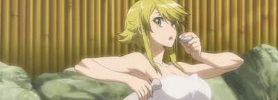 アカメが斬る！ ■概要