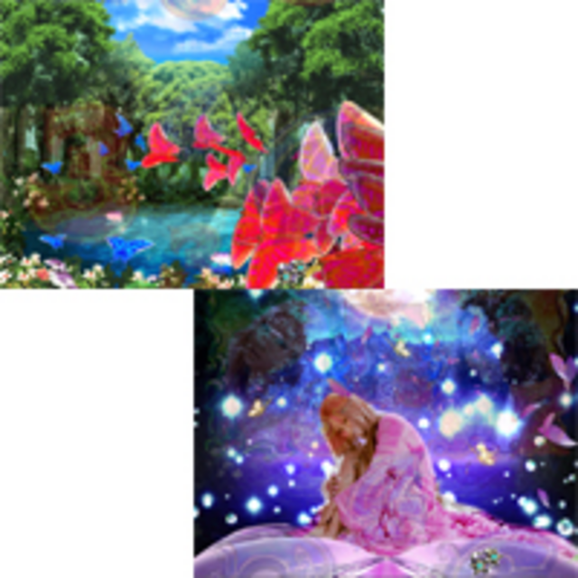 CR KODA KUMI FEVER LIVE IN HALLII MF-TX バタフライモード