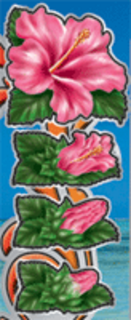 ナチユリ 告知方法